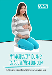 My Maternity Journey Booklet